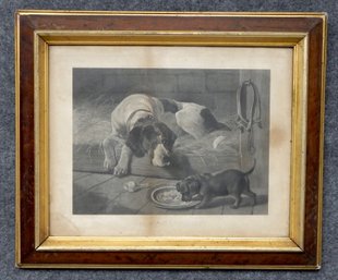 Antique  J. Hoover & Sons ' An Impudent Puppy' Engraving