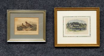Pair Of Antique Engravings: Birds And Garden Scene
