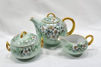 Antique Royal Bavaria Porcelain Tea Set - Hand Painted Flowers