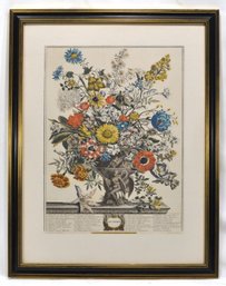 Henry Fletcher - NOVEMBER Engraving From Twelve Months Of Flowers