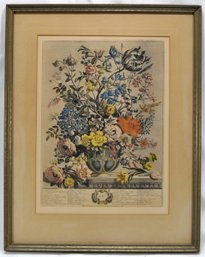 Henry Fletcher - MAY Engraving From Twelve Months Of Flowers