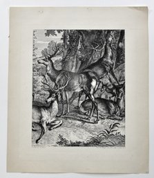 Johann Elias Ridinger (1698 - 1767) ' Stags In A Forest' Etching