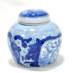 Vintage Chinese Blue & White Porcelain Ginger Jar