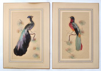 Pair Vintage Bird Pictures Made Of Real Feathers