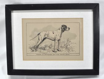 Vintage Pointer Dog Framed Print