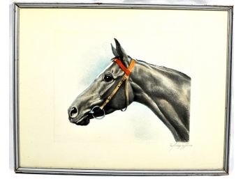 Original Vintage Etching  Of Horse Head Signed