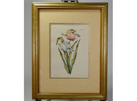 Vintage Tulip Colored Engraving By Mitra Signed