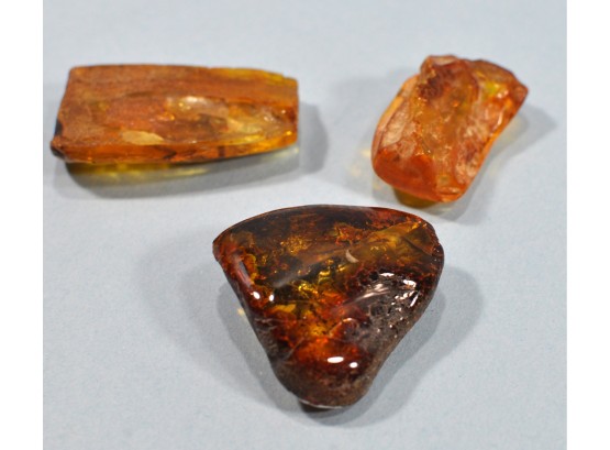 Real Amber With Insect Inclusions