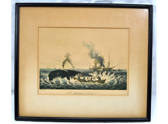 Antique Print Whale Fishery 'Attacking The Right Whale'