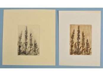 Pair Original Etchings  By RUTH WINSOR (1903-1983)- GRASSES