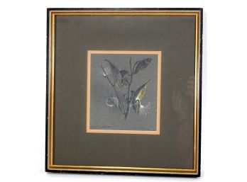 Original B. SOCRANSKY Botanical Painting ' Dried Milkweed'
