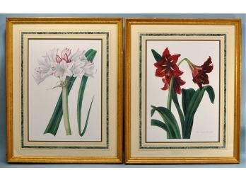 Pair Framed Botanical Prints