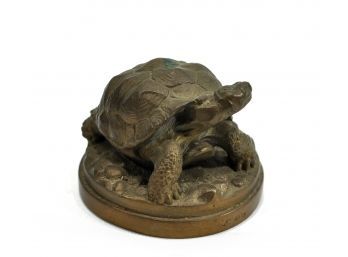 Vintage Bronze Turtle Sculpture - Signed