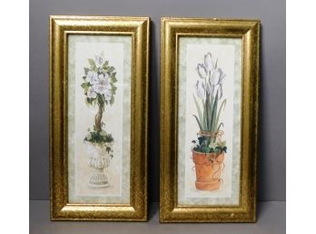 Pair Framed Flower Plant Prints - Wall Decoration