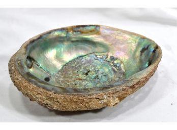 Large Real Abalone Shell Smudging Bowl Seashell Incense Burner
