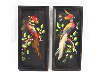 Pair Vintage Bird Pictures Made Of Real Feathers