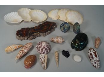 Lot Of Shells And Stone