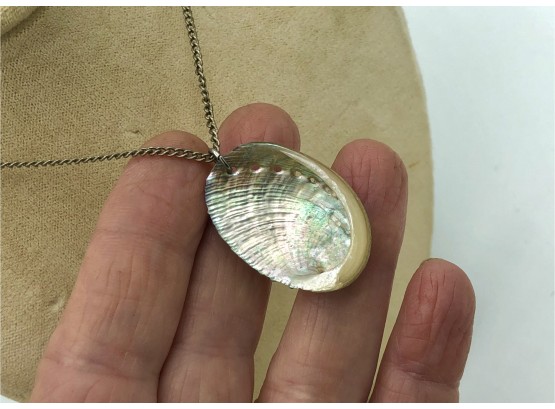 Tiny Natural Rainbow Abalone Shell On Vintage Silver Chain; So Sweet