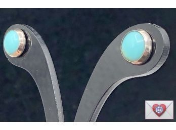 Robins Egg Blue Turquoise Silver Button Post Earrings ~ So Pretty