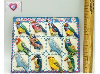 Killer Full Display Card ~ Vintage Litho Printed On Tin Parrots And Parakeet Birds 12 Pin Badge Set