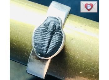 Real Fossil Trilobite Unusual Rare Artist-Made Heavy Wrought Sterling Silver Band Size 10.5