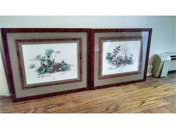 Pair Of Framed Flower Prints - 15x17