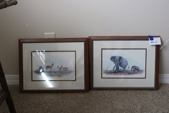 Framed Pencil Animal Prints