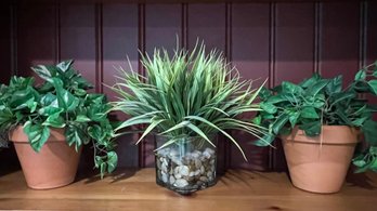 Faux Indoor Plants