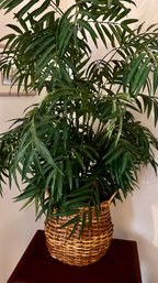 Beautiful Faux Ficus Plant And Basket Planter