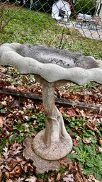 Cement Bird Bath