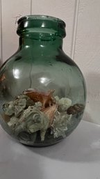 Unique Vessel With Seashells