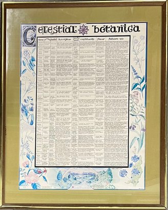 Vintage 1973 Celestial Botanica Herb Poster Celestial Reflections Boulder Colorado