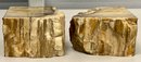 Set Of Genuine Petrified Wood Bookends