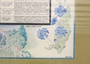 Vintage 1973 Celestial Botanica Herb Poster Celestial Reflections Boulder Colorado