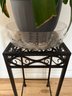 27.5 Inch Wrought Iron Plant Stand With Live Clivia Plant