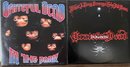 2 Vintage Grateful Dead Vinyl Record Albums - In The Dark & Best Of Grateful Dead 1977