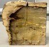 Set Of Genuine Petrified Wood Bookends