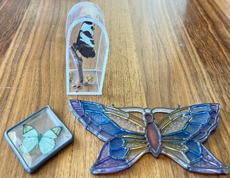 Taxidermy Butterfly, Plastic Stained Window Hanger, Glass Window Hanging