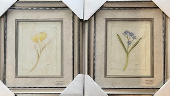 (2) Cheri Blum Decorative Floral Print In Frame - Yellow Crocus And Forget Me Not