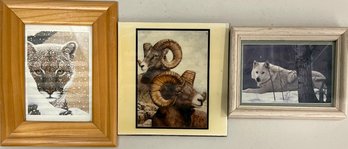 Donna Cox Signed Rams Tile, Shane Dimmick Framed Print, And A Framed Wolf Print