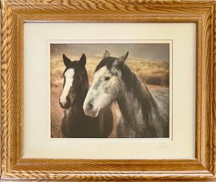 Jim Carnevale Buddies Horse Photograph Signed In Oak Frame