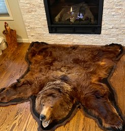 Vintage Bear Skin Rug With Head And Claws On Felt 6 Foot Wide By 6 Foot Long