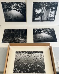 Vintage Lot Of Signed Harold Malde Black And White Photograph Prints Out Of Frame
