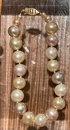Barbados Multi Color 7'  Cultured Pearl Bracelet With 14K Gold Clasp