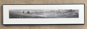Signed Limited Edition 48' Black And White Vineyard Photograph Print 1 Of 5 In Frame