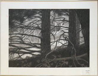 Original Carrie Malde Limber Pines Framed Charcoal