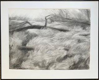 Original Carrie Malde Sawhill Pond Grass Charcoal In Frame