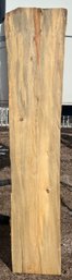 Large Slab Of Cut Beetle Kill Pine