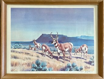 Vintage 1960 D. U. Award Winner Les Kouba Signed Antelope Lithograph In Wood Frame