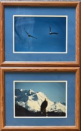 Pair Of Terry And Cathy Robinson Eagle Photograph Prints In Frames